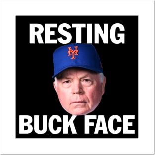 RESTING BUCK FACE Posters and Art